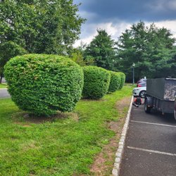 Issac Landscaping - After trimming