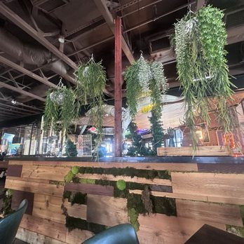 Neon Cactus - Nice decor - Salad Near Me - Fairview, Texas Neon Cactus - Nice decor - Salad Near Me - Fairview, Texas