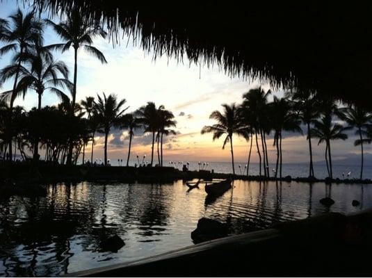 Humuhumunukunukuāpuaʻa by null