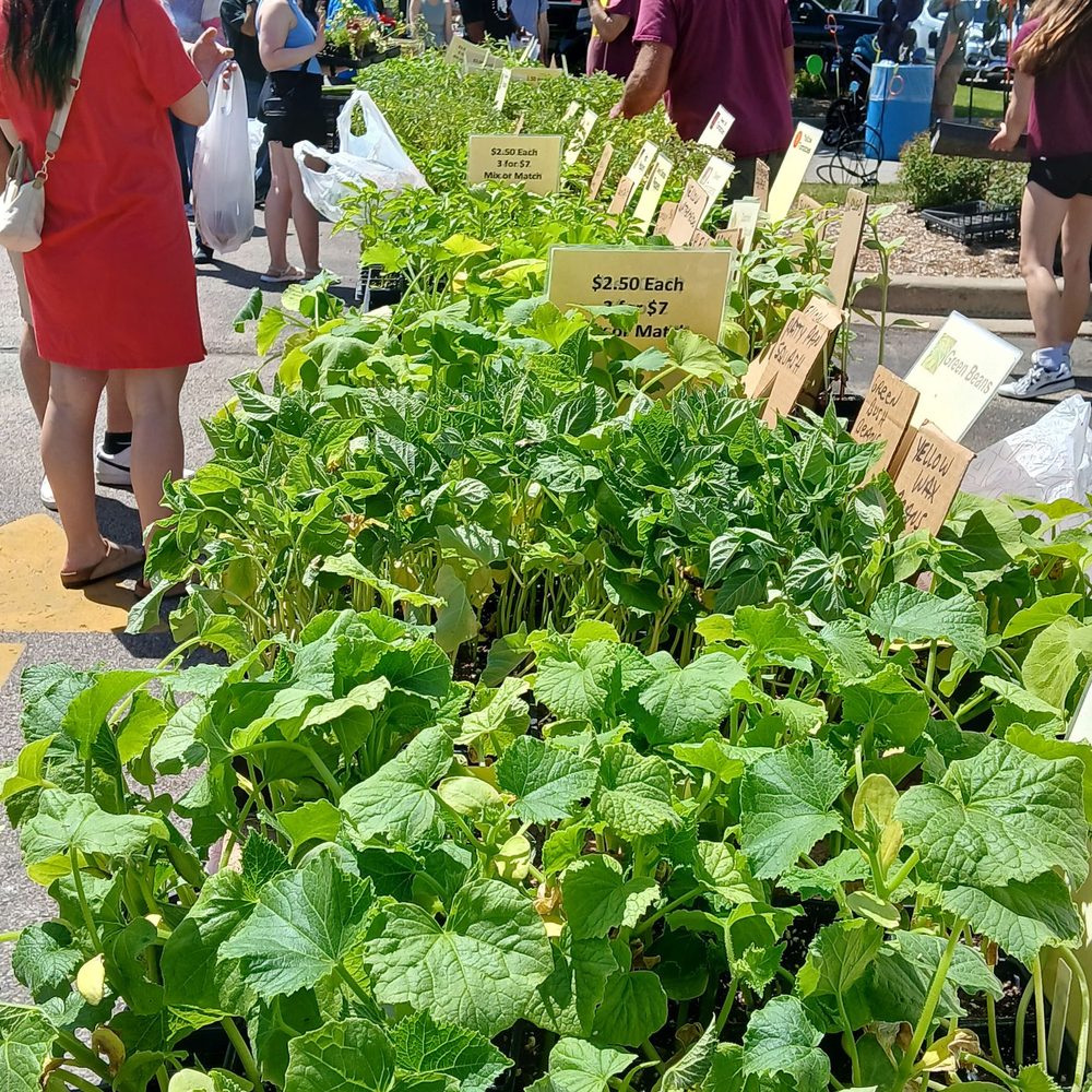 Brookfield Farmers Market - Beautiful plants - Farmers Market Near Me - Brookfield, Wisconsin Brookfield Farmers Market - Beautiful plants - Farmers Market Near Me - Brookfield, Wisconsin