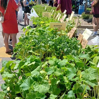 Brookfield Farmers Market - Beautiful plants - Farmers Market Near Me - Brookfield, Wisconsin Brookfield Farmers Market - Beautiful plants - Farmers Market Near Me - Brookfield, Wisconsin