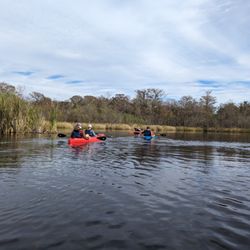 Everglades Adventures Kayak & Eco Tours - Eco tour with Alec