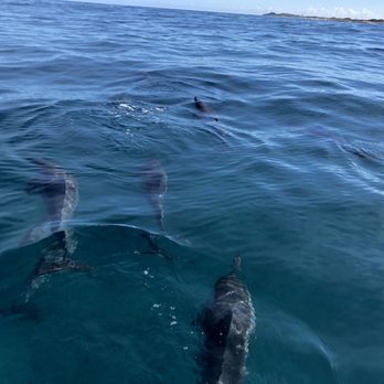 Kauai Sea Tours - Boating Near Me - Eleele, Hawaii