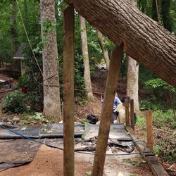 Little Bear Tree Service