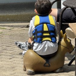 Rubber donkey!