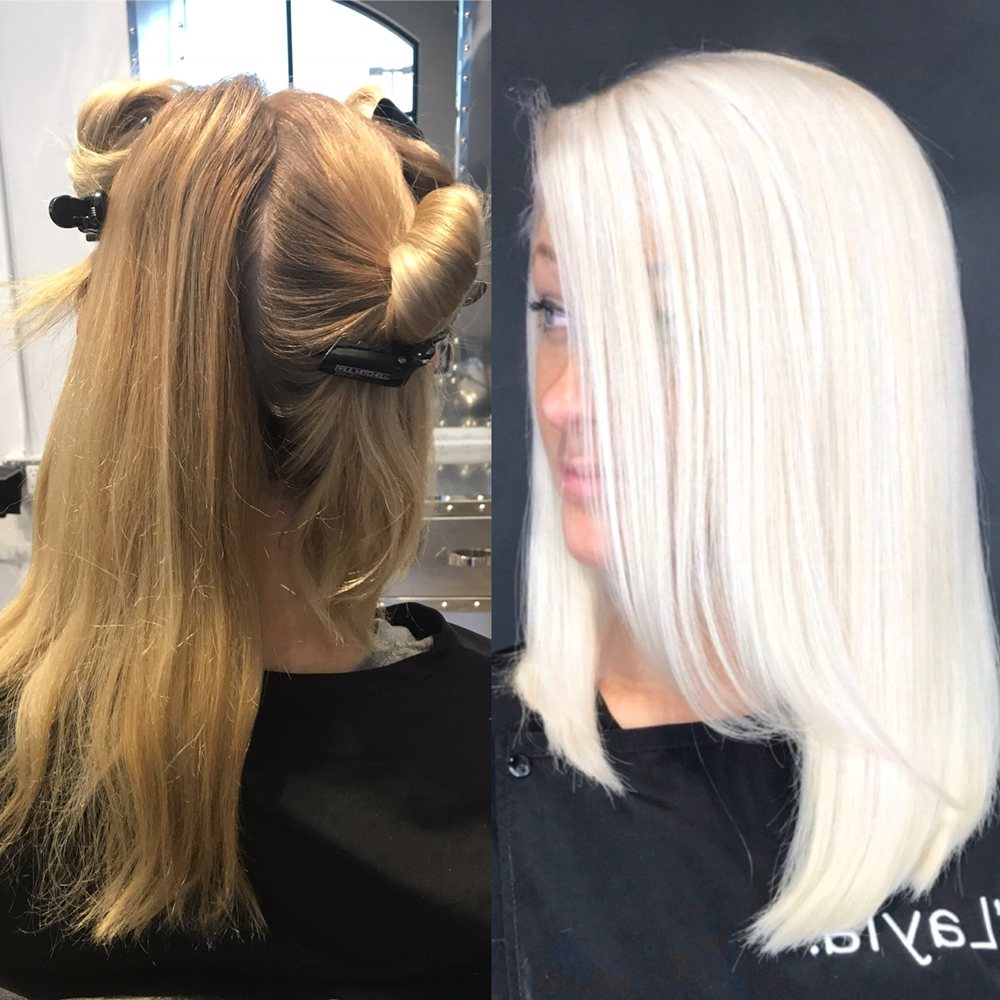 ABSOLUTE ELEGANCE 55 Photos & 13 Reviews 34 Lowell Rd, Salem, New