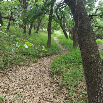 McAllister Park - This is just one of the many trails through the oaks. - Parks Near Me - San Antonio, Texas