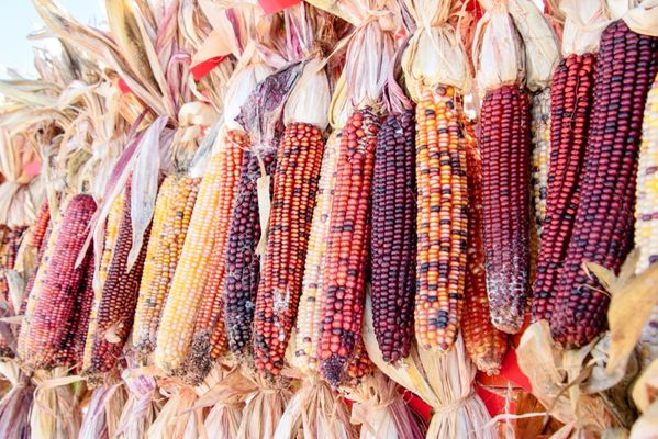 Goebbert's Farm - South Barrington by null