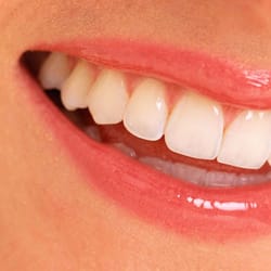 Bronte Road Family Dental