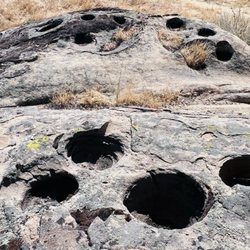 The Wildlands Conservancy's Wind Wolves Preserve - Native American mortar grinding holes in some bedrock!