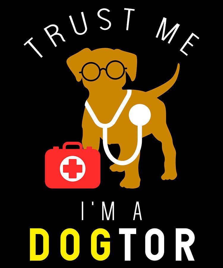 WOODWARD PET HOSPITAL Updated August 2024 32 Reviews 1119 E Shaw