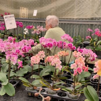 Norman's Orchid Nursery - She loves it here - Nurseries & Gardening Near Me - Montclair, California