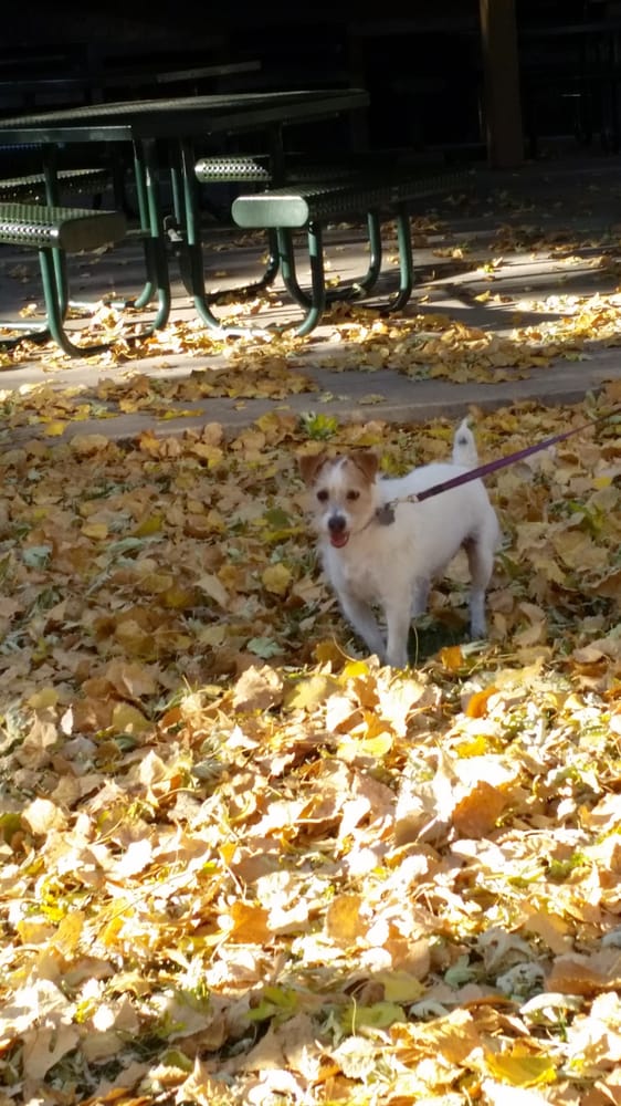 MAXX PROPERTIES Updated August 2024 888 S Oneida St, Denver