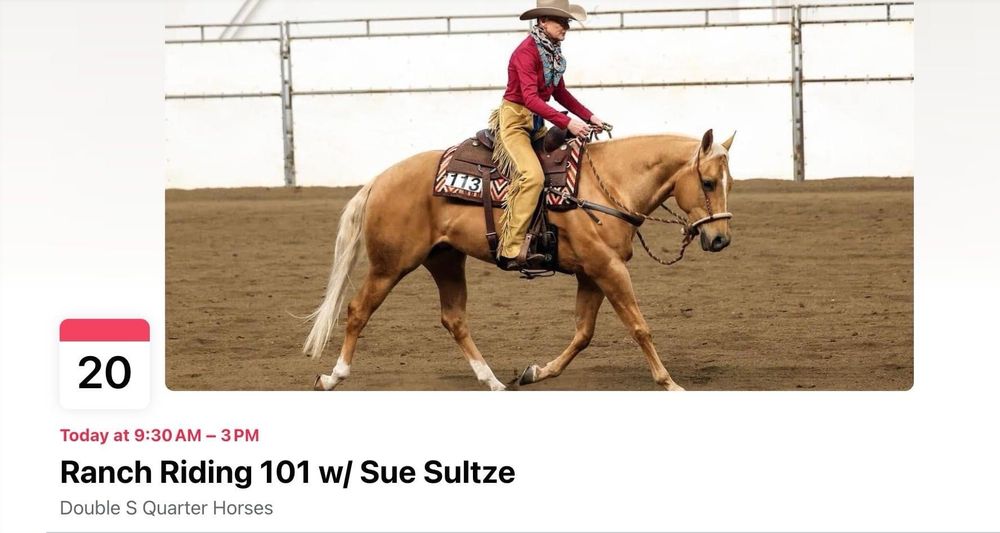 Double S Quarter Horses Logo