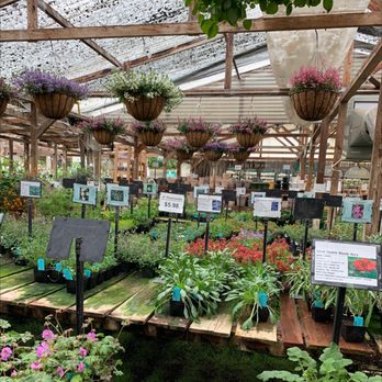 HALF MOON BAY NURSERY - 806 Photos & 314 Reviews - 11691 San Mateo Rd