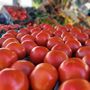 Photo of La Chicanita Produce