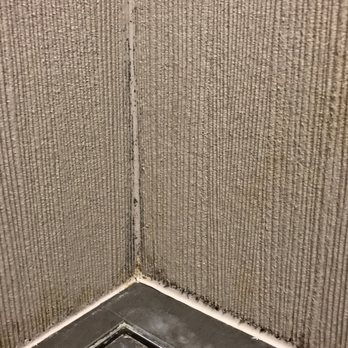 LaGare - And here's some more mold. - Hotels Near Me - Venezia, VE