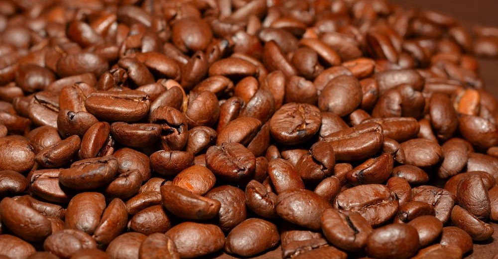 Dakota Coffee Works Logo