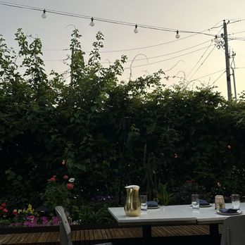 BODHI - Patio - Thai Near Me - Indianapolis, Indiana