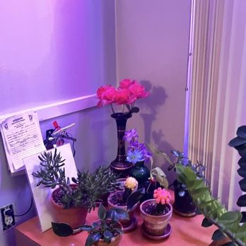 Jins Foot Spa - Massage Near Me - Addison, Texas Jins Foot Spa - Massage Near Me - Addison, Texas