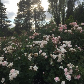 Queen Elizabeth Park - Parks Near Me - Vancouver, British Columbia