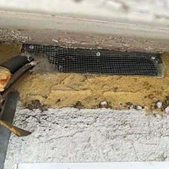 Rodent Control - Made us a stronger vent cover plus cemented the pipe to the cover so the holes were left behind. - Pest Control Near Me - Los Angeles, California Rodent Control - Made us a stronger vent cover plus cemented the pipe to the cover so the holes were left behind. - Pest Control Near Me - Los Angeles, California
