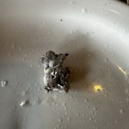 This was in the mashed potatoes This was in the mashed potatoes