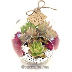Succs For You - Large Hanging Globe  www.succsforyoumiami.com