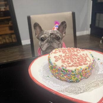 The Dog Bakery - Happy Birthday Sesame! - Pet Stores Near Me - Pasadena, California