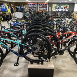 The Bike Cellar
