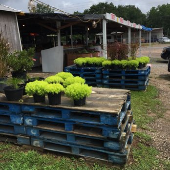 Ted and Nancys Fruitstand - Farmers Market Near Me - Mobile, Alabama