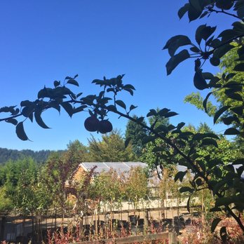 Boxhill Farm & Nursery - Nurseries & Gardening Near Me - Duvall, Washington