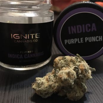 GREENWOLF LA - Best weed I've ever had. They don't take cash though... 4.5/5 - Cannabis Dispensaries Near Me - Los Angeles, California GREENWOLF LA - Best weed I've ever had. They don't take cash though... 4.5/5 - Cannabis Dispensaries Near Me - Los Angeles, California