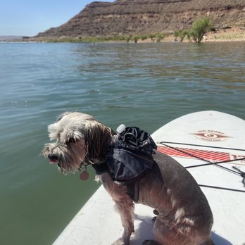 Dig Paddlesports - Paddleboarding Near Me - Hurricane, Utah Dig Paddlesports - Paddleboarding Near Me - Hurricane, Utah