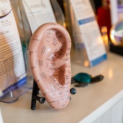 Jane Catania, DACM - Acupuncture Health NJ