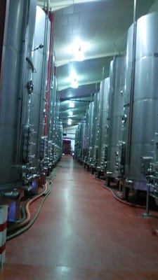 Bodegas Marqués de Cáceres by null