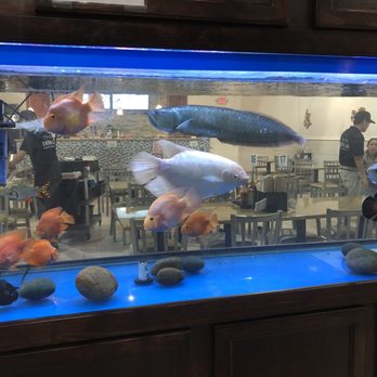 Com Ga Thuong Hai - Fish tank right at the door - Vietnamese Near Me - Houston, Texas Com Ga Thuong Hai - Fish tank right at the door - Vietnamese Near Me - Houston, Texas