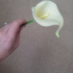 Green N' Silk - Calla lily