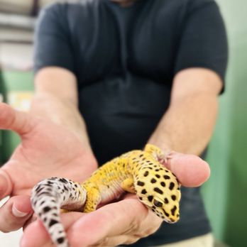 Spock's Sanctuary - Petting Zoos Near Me - Des Moines, Iowa