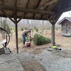 Lost Forty Tree Farm - The owner trimming the bottom of the tree.