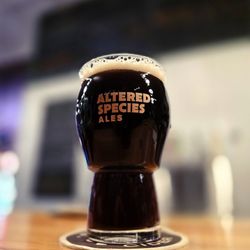 Altered Species Ales