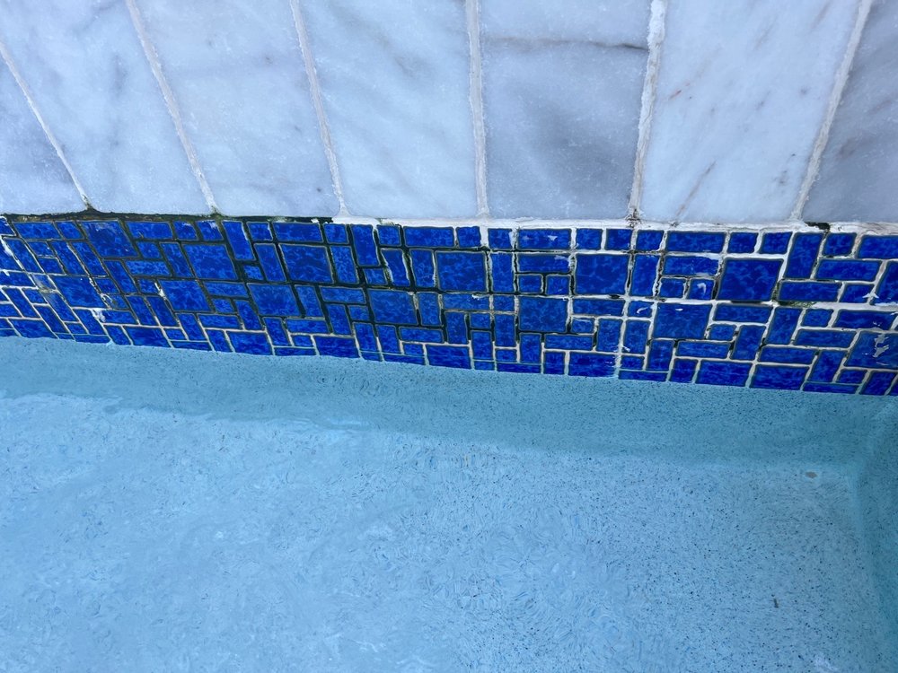 COLORS ON WHITE Updated October 2024 13 Photos & 12 Reviews 818