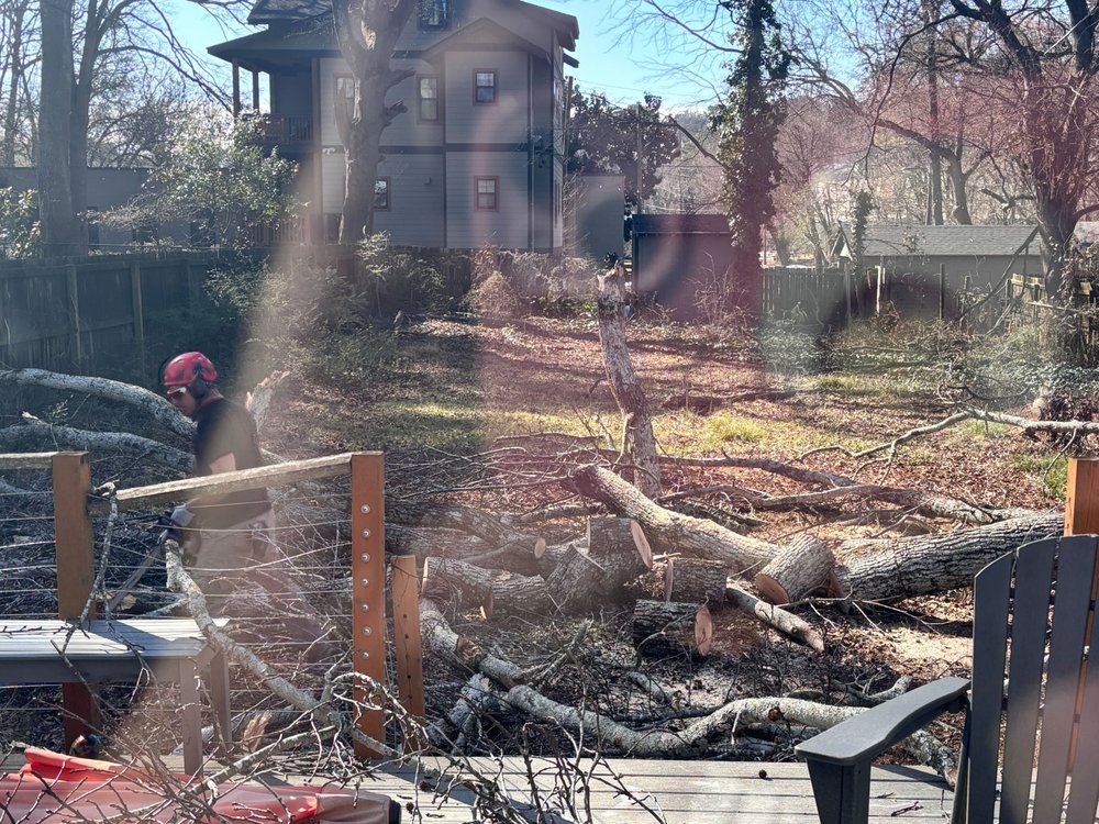 Atlanta Area Tree Service - tree service in Atlanta, GA