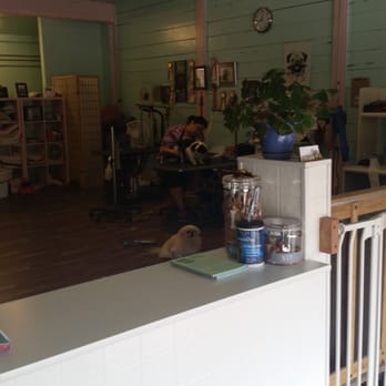 Fluff Dog Grooming - Sasha is getting her summer cut. Michelle is doing a great job w/ her. Sasha seems to be warmed up to her. - Pet Groomers Near Me - San Leandro, California Fluff Dog Grooming - Sasha is getting her summer cut. Michelle is doing a great job w/ her. Sasha seems to be warmed up to her. - Pet Groomers Near Me - San Leandro, California