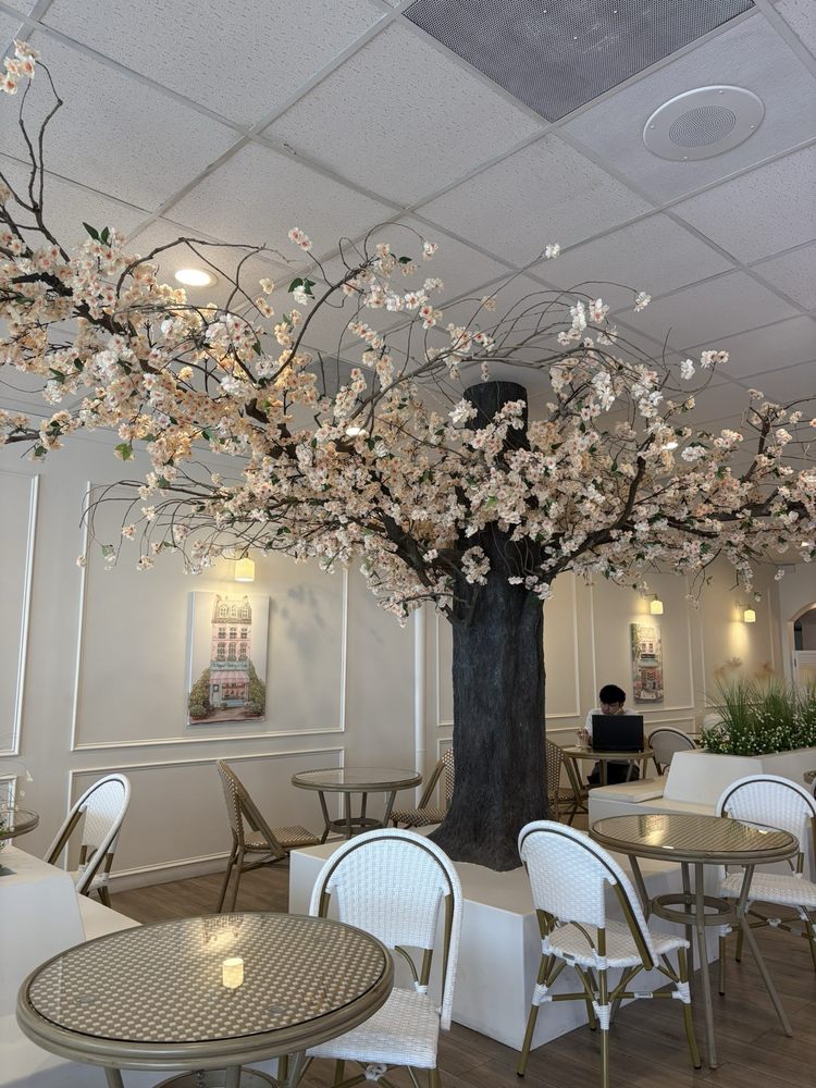 Whipped Bakery & Cafe