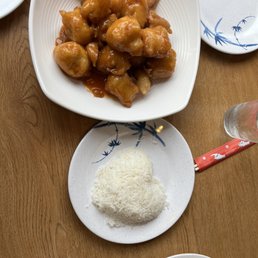 Orange Chicken/orange Tofu