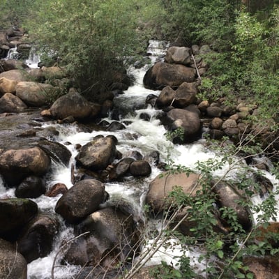 Hunter Creek Trail Head by null