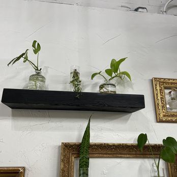 Habitat Plants + Coffee - a shelf above a mirror - Coffee & Tea Near Me - McKinney, Texas