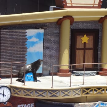 Sea Lions Live - Sea Lion Shenanigans - Performing Arts Near Me - San Diego, California Sea Lions Live - Sea Lion Shenanigans - Performing Arts Near Me - San Diego, California