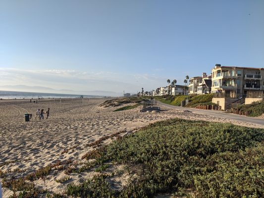 Bruce's Beach by null
